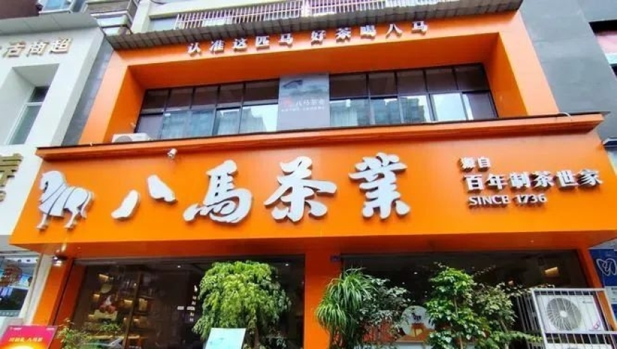 二四六天好彩944CC更新内容,记者调查网络算命诈骗产业链,最新核心解答落实_界面版V15.91