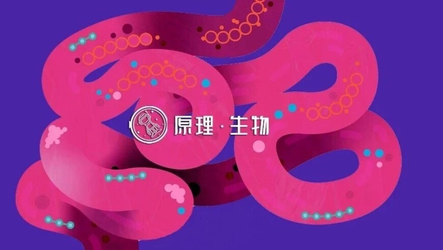 2025年港彩开奖结果,陈丽君2024中国妇女时代人物,精准解释落实及其象征意义_AR版V8.39